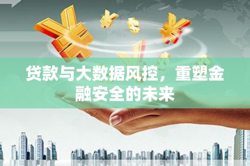 石排贷款与大数据风控，重塑金融安全的未来