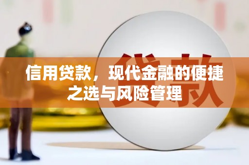 白山信用贷款，现代金融的便捷之选与风险管理