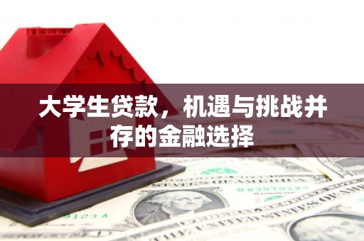 迁安大学生贷款，机遇与挑战并存的金融选择