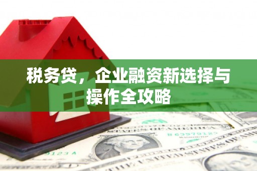 沐川税务贷，企业融资新选择与操作全攻略