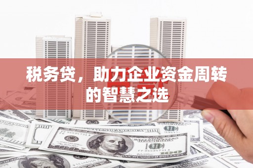 乌拉特中旗税务贷，助力企业资金周转的智慧之选
