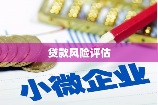 田家庵贷款风险评估