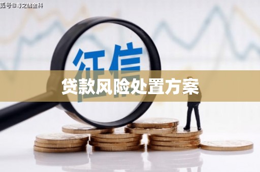 丰宁贷款风险处置方案