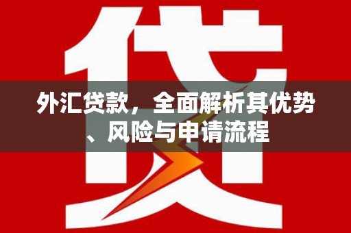 万源外汇贷款，全面解析其优势、风险与申请流程