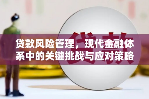 复兴贷款风险管理，现代金融体系中的关键挑战与应对策略