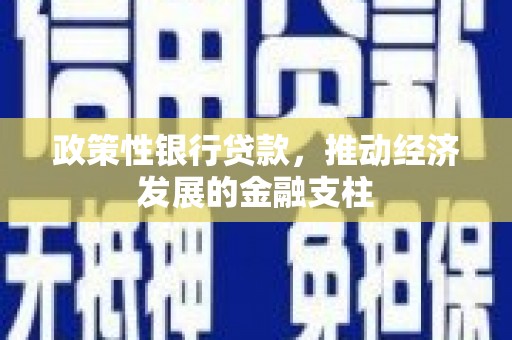 北关政策性银行贷款，推动经济发展的金融支柱