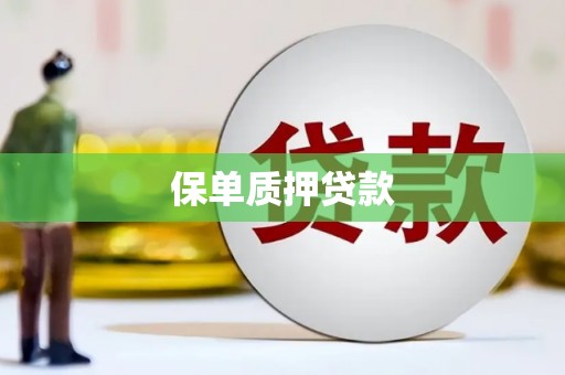 宽甸保单质押贷款