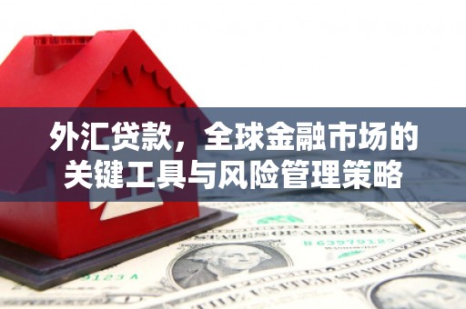 德宏外汇贷款，全球金融市场的关键工具与风险管理策略