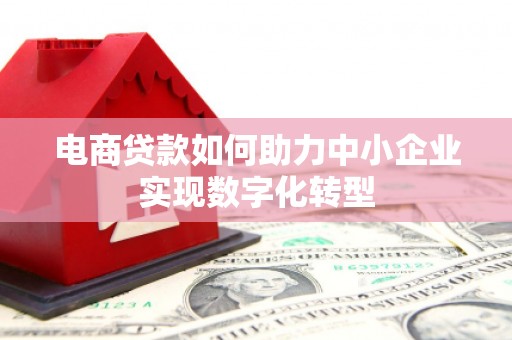 洋县电商贷款如何助力中小企业实现数字化转型