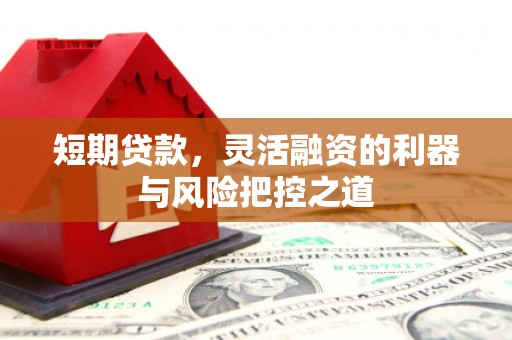 坡头短期贷款，灵活融资的利器与风险把控之道