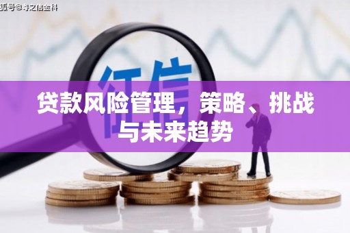 池上贷款风险管理，策略、挑战与未来趋势