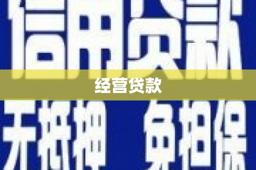 南山经营贷款