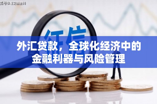 镇雄外汇贷款，全球化经济中的金融利器与风险管理
