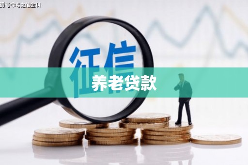 甘洛养老贷款