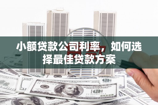 公安小额贷款公司利率，如何选择最佳贷款方案