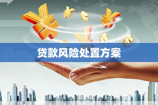 汝南贷款风险处置方案