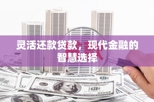 金阳灵活还款贷款，现代金融的智慧选择