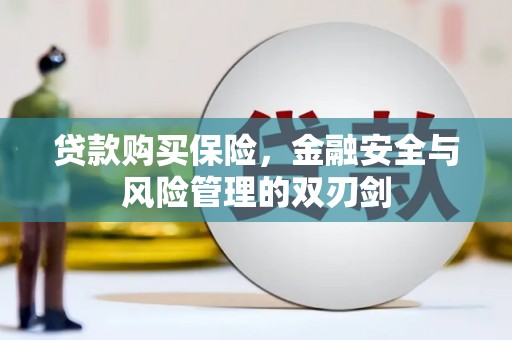 开平贷款购买保险，金融安全与风险管理的双刃剑