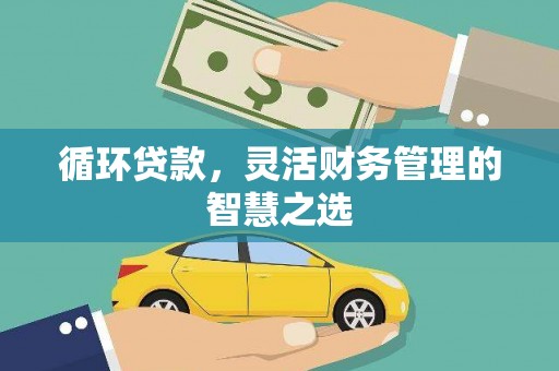 武进循环贷款，灵活财务管理的智慧之选