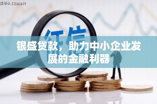 屏边银盛贷款，助力中小企业发展的金融利器