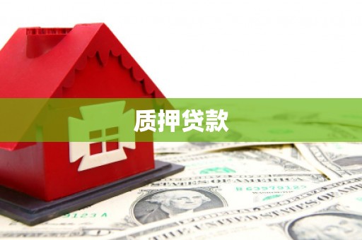 莲都质押贷款