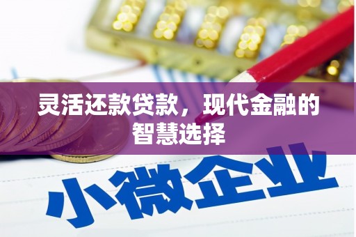 武侯灵活还款贷款，现代金融的智慧选择