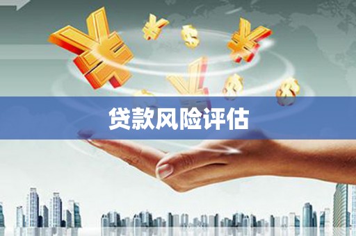 红星贷款风险评估