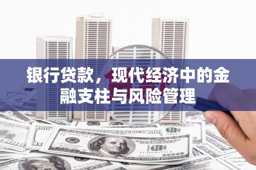 宜章银行贷款，现代经济中的金融支柱与风险管理