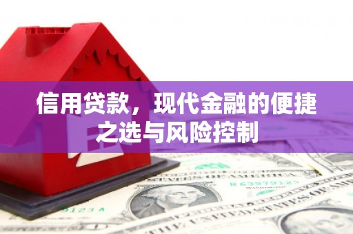 灵武信用贷款，现代金融的便捷之选与风险控制