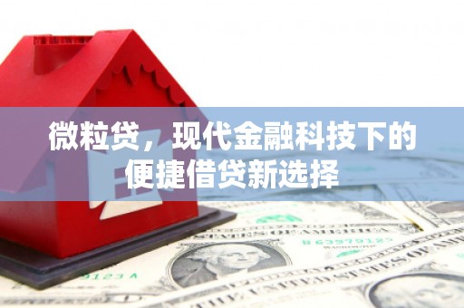 荔湾微粒贷，现代金融科技下的便捷借贷新选择