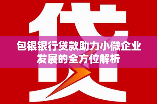 洪雅包银银行贷款助力小微企业发展的全方位解析