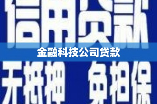 安陆金融科技公司贷款