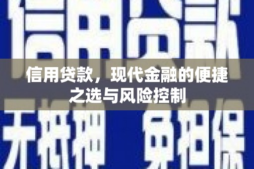 西山信用贷款，现代金融的便捷之选与风险控制