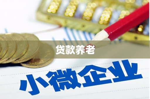 衡阳贷款养老