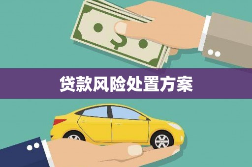 海城贷款风险处置方案