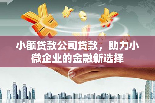 七星小额贷款公司贷款，助力小微企业的金融新选择