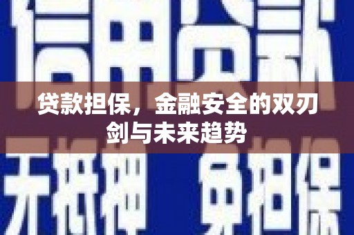 临猗贷款担保，金融安全的双刃剑与未来趋势