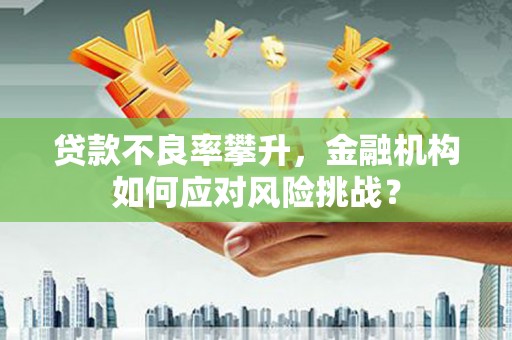 山上贷款不良率攀升，金融机构如何应对风险挑战？