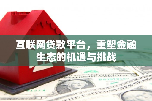 新沂互联网贷款平台，重塑金融生态的机遇与挑战