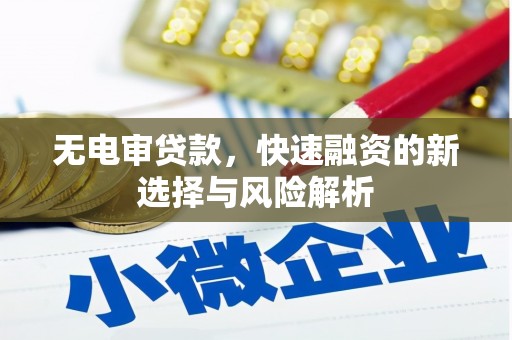 安康无电审贷款，快速融资的新选择与风险解析