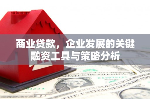 汉台商业贷款，企业发展的关键融资工具与策略分析