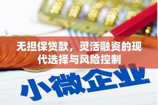 丰满无担保贷款，灵活融资的现代选择与风险控制