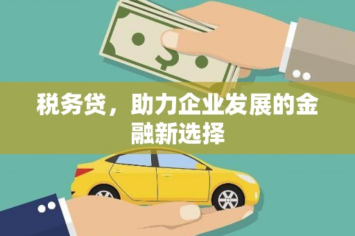 米林税务贷，助力企业发展的金融新选择