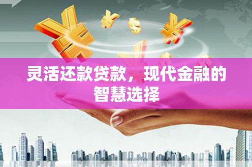 瓮安灵活还款贷款，现代金融的智慧选择