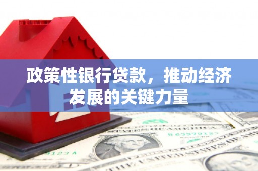 枋山政策性银行贷款，推动经济发展的关键力量