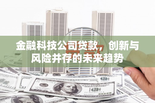 沙田金融科技公司贷款，创新与风险并存的未来趋势
