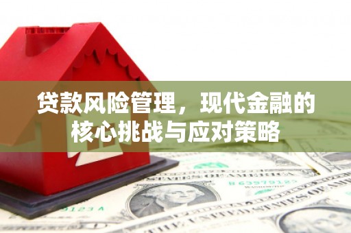 文登贷款风险管理，现代金融的核心挑战与应对策略