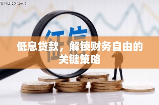 鱼峰低息贷款，解锁财务自由的关键策略