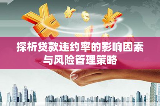 汉源探析贷款违约率的影响因素与风险管理策略