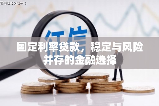永州固定利率贷款，稳定与风险并存的金融选择